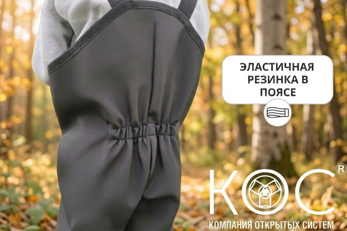Полукомбинезон демисезонный для детей, софтшелл — фото 3